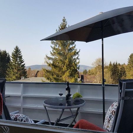 Apartmán Weitblick Sankt Andreasberg Exteriér fotografie