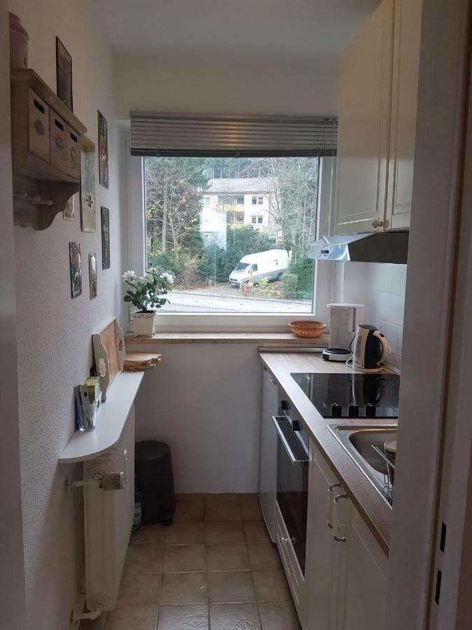 Apartmán Weitblick Sankt Andreasberg Exteriér fotografie